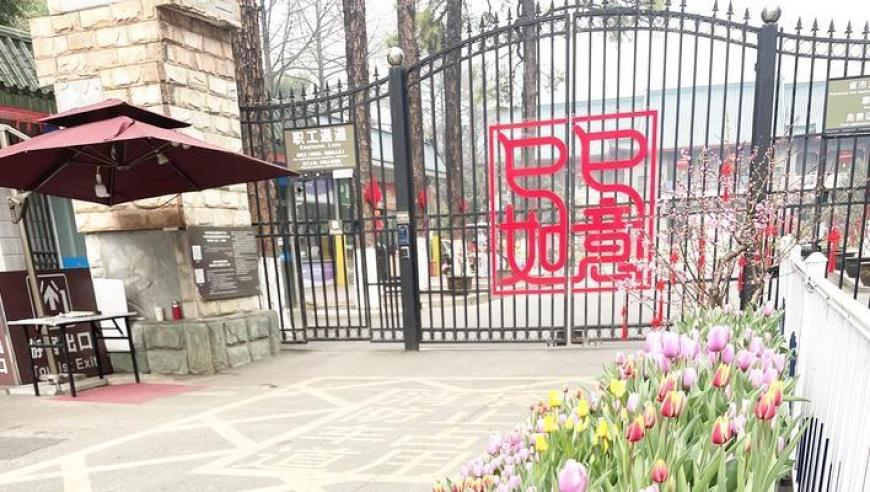 澳门4949最快开奖结果晚上开几号,周云杰为山东大葱代言,精准解释落实及其象征意义_视频版V3.13