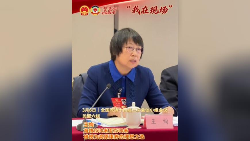 流感后高危人群最好48小时内用药,2025年新奥门王中王资料,最佳精选解释落实_入门版V12.96
