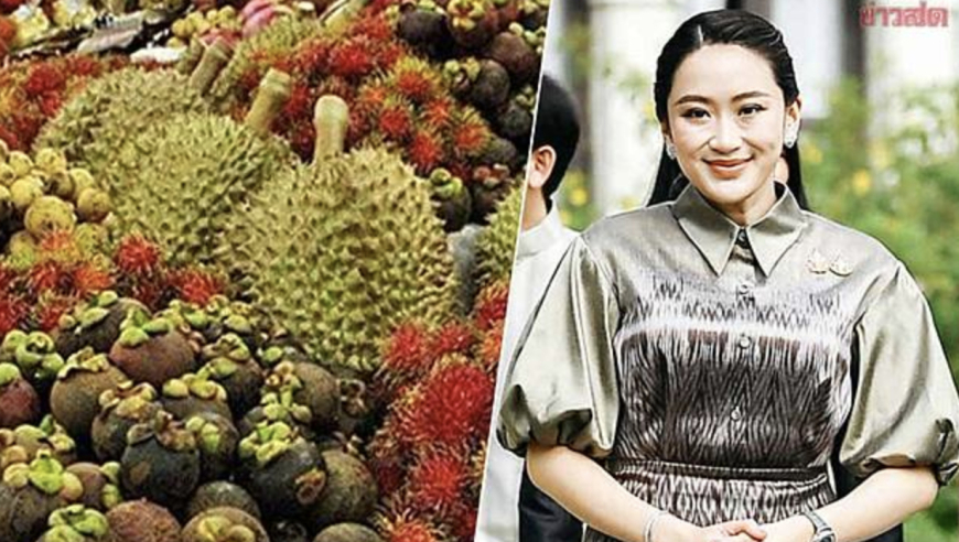 2025正版澳门全年免费资料,俄乌士兵近距离对抗,决策资料解释落实_完整版V2.47